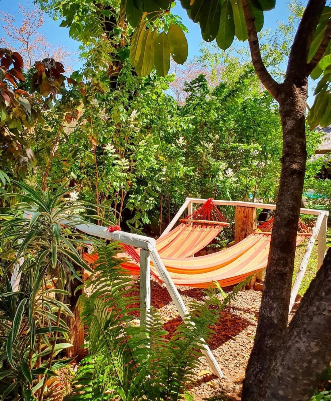 Victoria Falls Backpackers Lodge- Camp Sites Extérieur photo