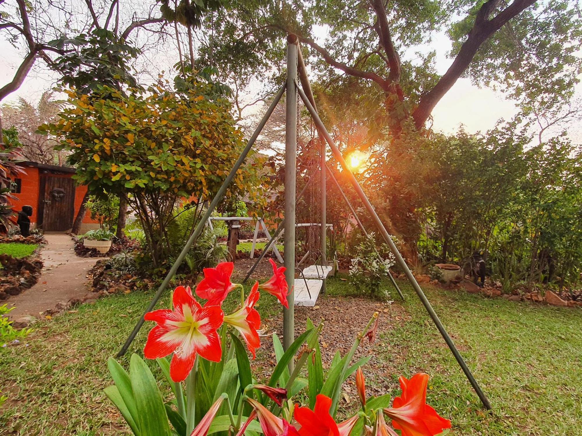 Victoria Falls Backpackers Lodge- Camp Sites Extérieur photo